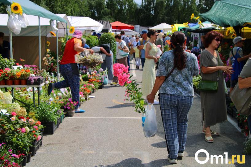 Изображение фоторепортажа