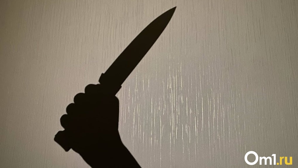 В Омской области рецидивист с ножом напал на работника фермы из-за личной неприязни