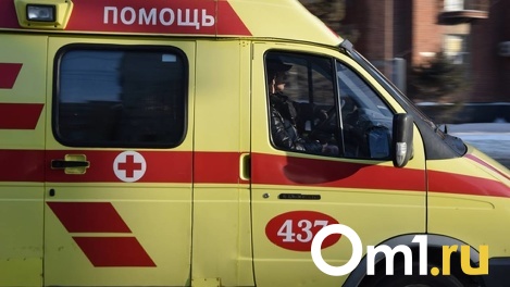 Пять лет колонии грозит водителю скорой помощи за смерть семилетней девочки