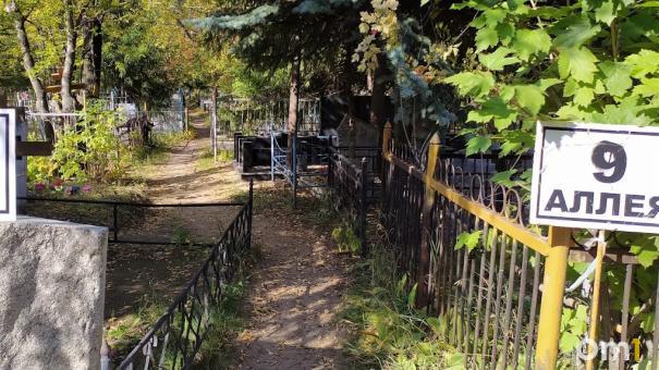 «Собирают еду с могил»: омич возмутился поведением прохожих на кладбище