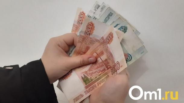 Новый размер детских пособий в 2024 году назвали в СФР Новосибирской области