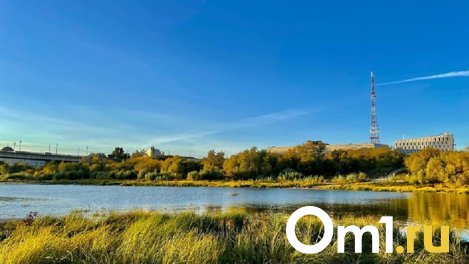 Омич поймал большую щуку, которая сломала весы