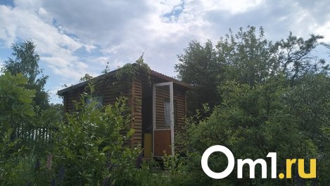 На 34% у новосибирцев увеличился спрос на строительство бань