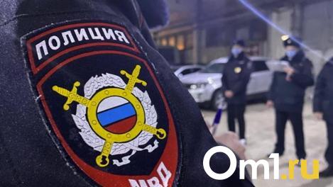 В Омской области почти неделю не могут найти 13-летнюю девочку