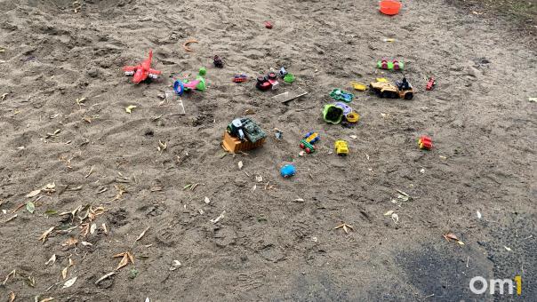 В Омске на детскую площадку рухнуло дерево