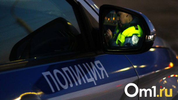 В Новосибирской области закладчики использовали для маскировки коляску с ребёнком