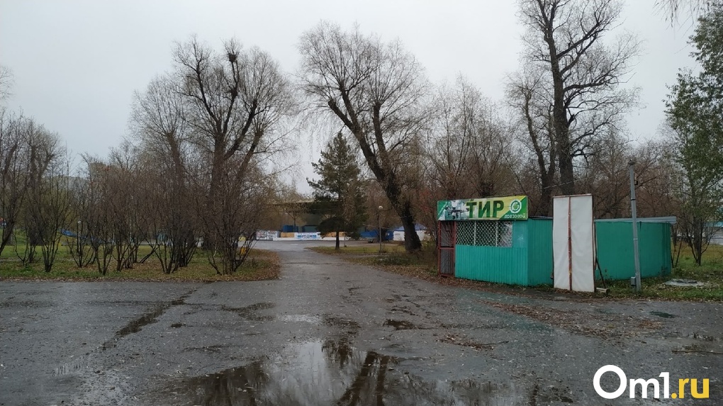 Зеленый остров фотографии омск