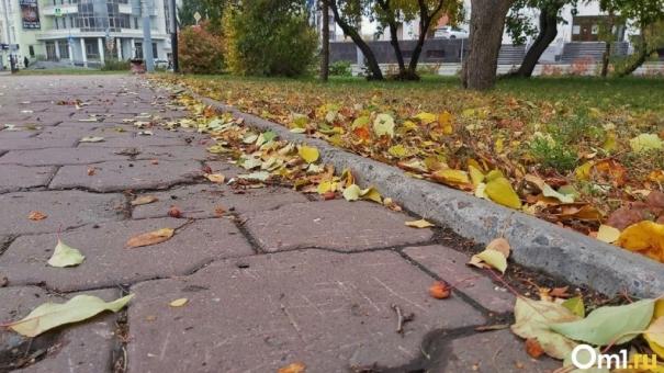 Дожди и резкое похолодание накроют Новосибирск к концу сентября