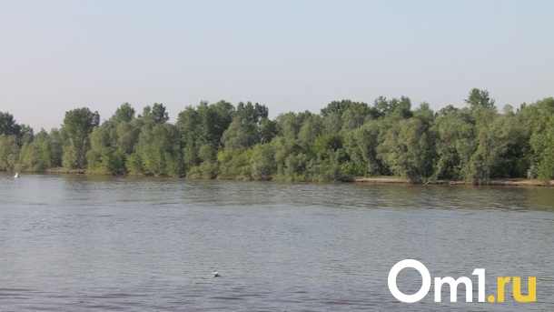 С завтрашнего дня в Омской области начнут открывать паромные переправы