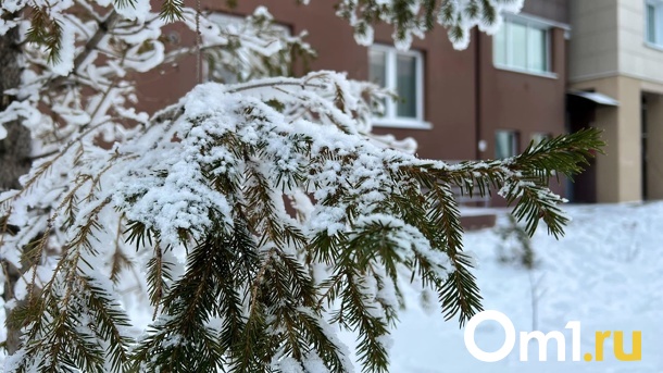 Весна придёт раньше срока? Синоптики пообещали омичам аномально тёплый февраль