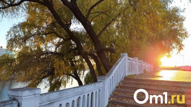 Лидер по частоте бабьего лета: Омск возглавил необычный рейтинг