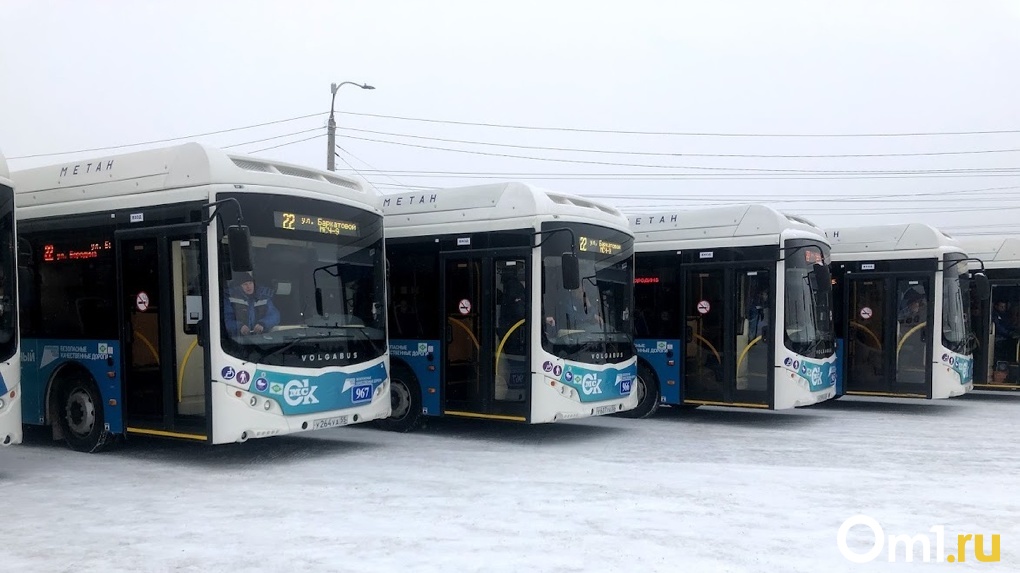 В Омске благодаря новым автобусам может значительно улучшиться экология уже к 2024 году