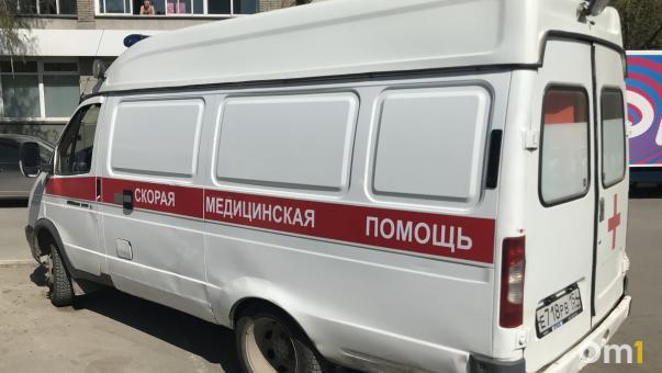 В селе под Новосибирском ротвейлер искусал двух девочек