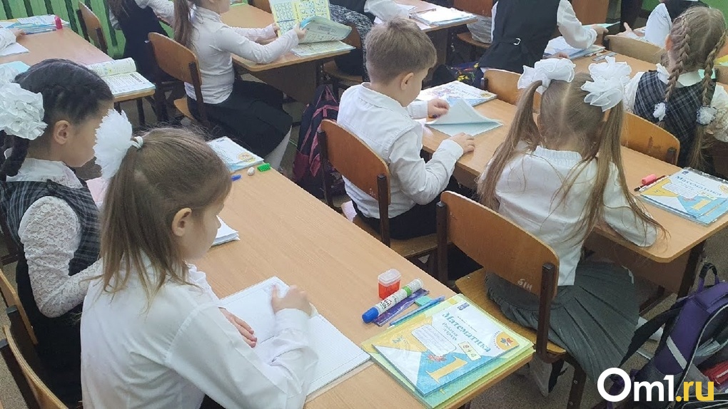 В Новосибирске школу № 207 переводят на дистант из-за ОРВИ и COVID