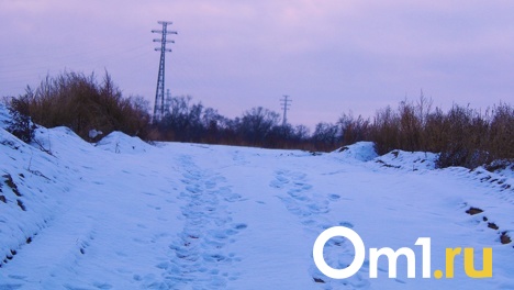 В рамках дорожного нацпроекта отремонтируют омскую дорогу Тюкалинск - Большие Уки