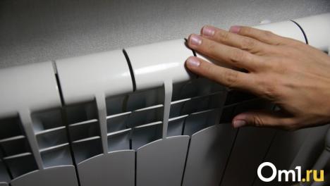 В Омской области подорожал уголь: жители жалуются на рост цен