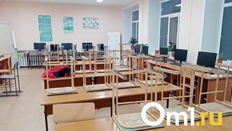 В Минобре рассказали, сколько детей в Омской области не ходят в школу