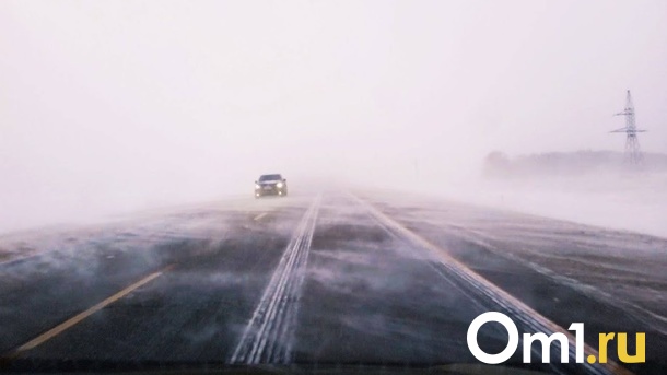 В Новосибирской области сотни детей не попали в школы из-за сильной метели