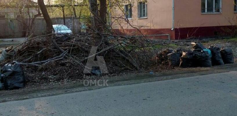 После субботников в Омске до сих пор не вывезли собранный мусор