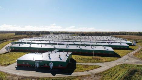 Новосибирский свинокомплекс решил проблемы с запахом после решения суда