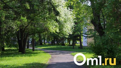 Омичи более 1 500 раз обратились в больницу из-за укусов клещей