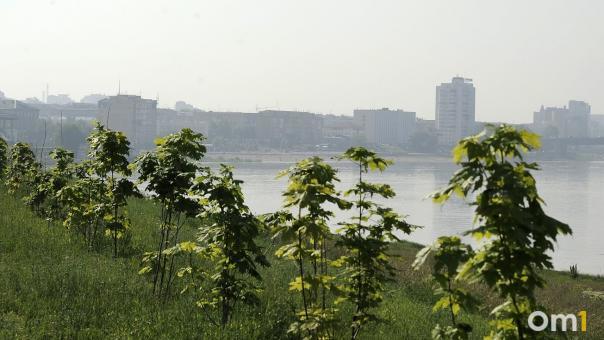 Август в Омске начнётся с туманов и жары до +33