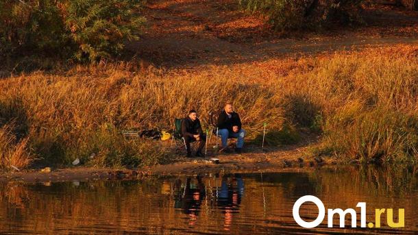 В Усть-Ишиме уровень воды в Иртыше за сутки опустился на три сантиметра