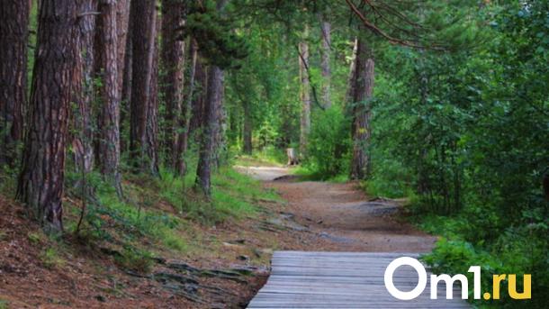 Парк Кирова в Новосибирске победил в голосовании: что изменится?