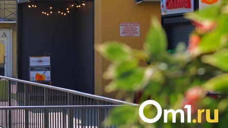 Роковой озеленитель. В Омске владелица ногтевого салона лишилась миллиона из-за москвича