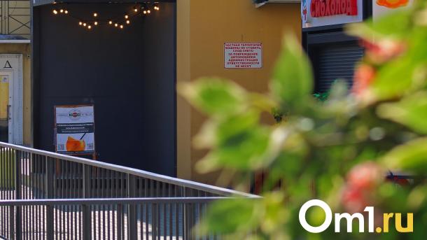 Роковой озеленитель. В Омске владелица ногтевого салона лишилась миллиона из-за москвича