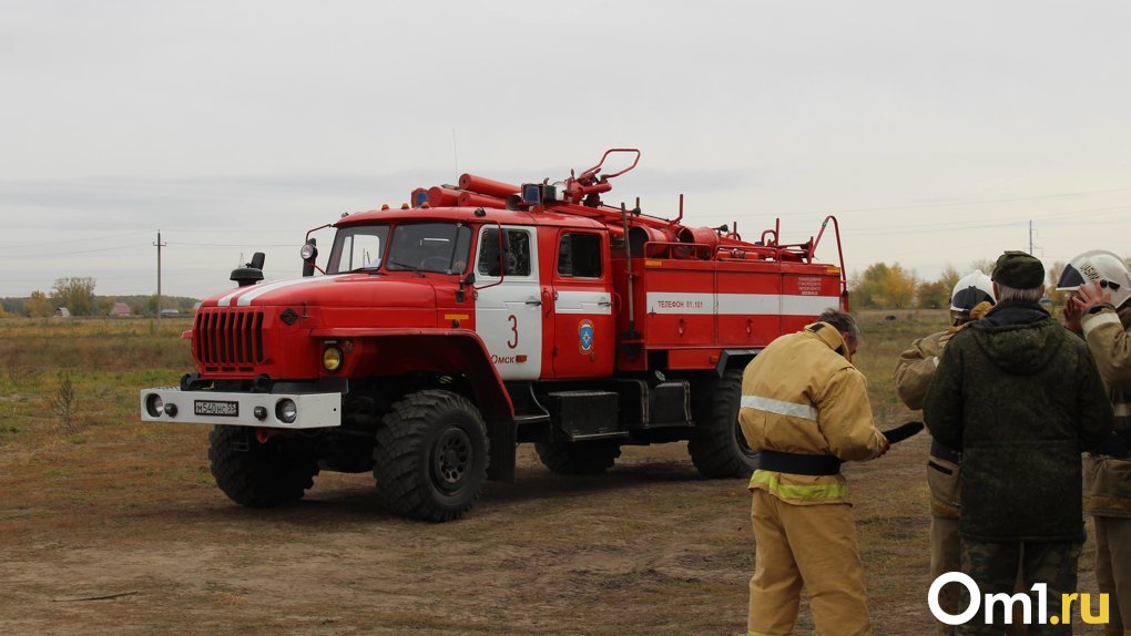 В Омской области жители деревни отбили лес у пожара