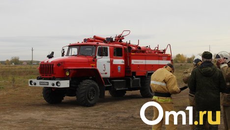 В Омской области жители деревни отбили лес у пожара