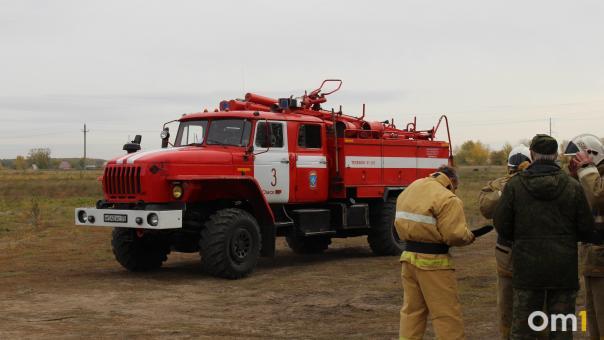 В Омской области жители деревни отбили лес у пожара