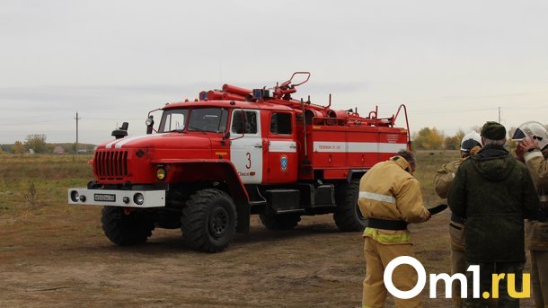В Омской области жители деревни отбили лес у пожара