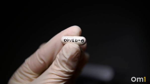 Новосибирский вирусолог Нетёсов предсказал продолжение развития пандемии COVID-19