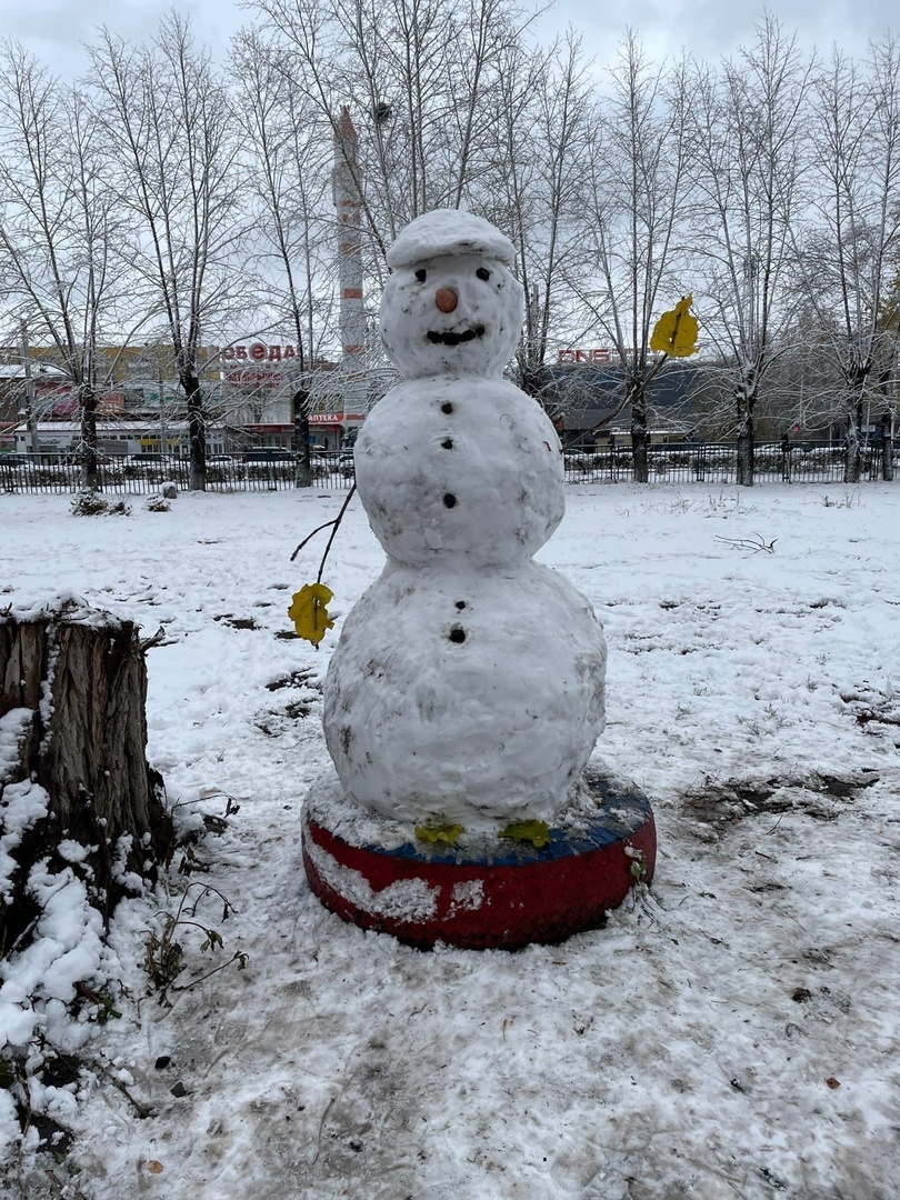 Снежный человек: омичи массово делятся кадрами первых снеговиков - ФОТО