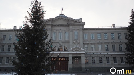 Экс-замминистра труда и соцразвития Омской области Лариса Нагорная вышла на работу в Заксобрание