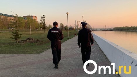 В Омске пенсионер набросился с ножом на случайного прохожего