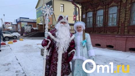 Во сколько обойдётся визит Деда Мороза и Снегурочки в Новосибирске