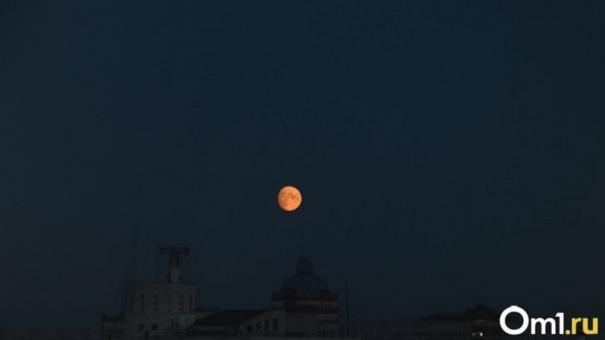 В ночном небе над Новосибирском сфотографировали сближение Луны и Венеры