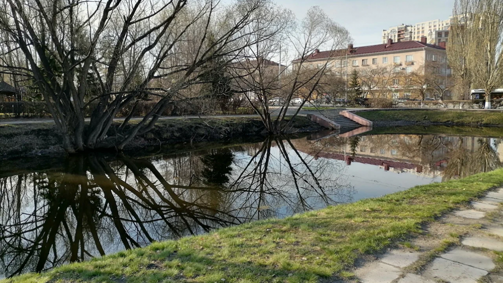 В омской Старозагородной роще появятся экотропа, беседки и интерактивные площадки