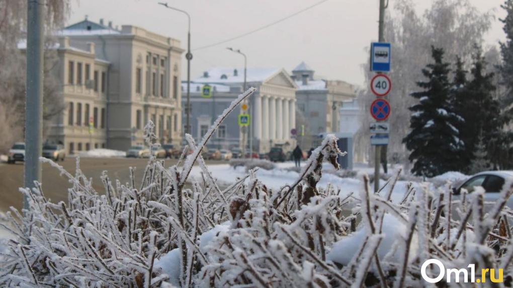 Проверка на прочность: синоптики дали пугающий прогноз погоды на конец января в Омске