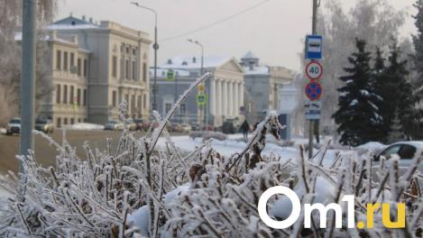Проверка на прочность: синоптики дали пугающий прогноз погоды на конец января в Омске