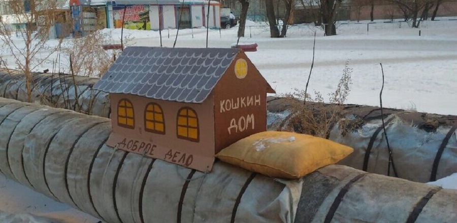 В Омске на теплотрассе построили креативный «Кошкин дом»