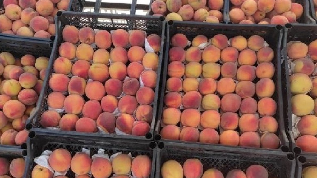 На омские прилавки могли попасть опасные персики