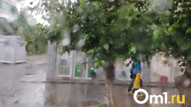 Жара, гроза и сильный ветер ждут омичей в конце рабочей недели