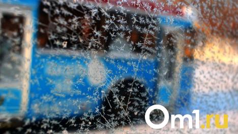 В последний день зимы в Омск придёт оттепель до +8