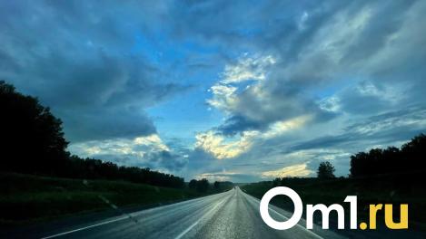 В Омской области за два дня под колёсами машин погибли два лося