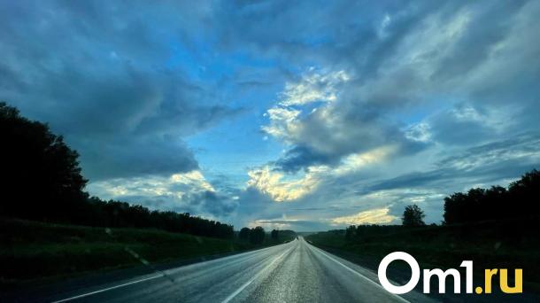 В Омской области за два дня под колёсами машин погибли два лося