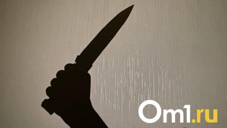 Женщина заколола ножом супруга во время пьяной ссоры под Новосибирском